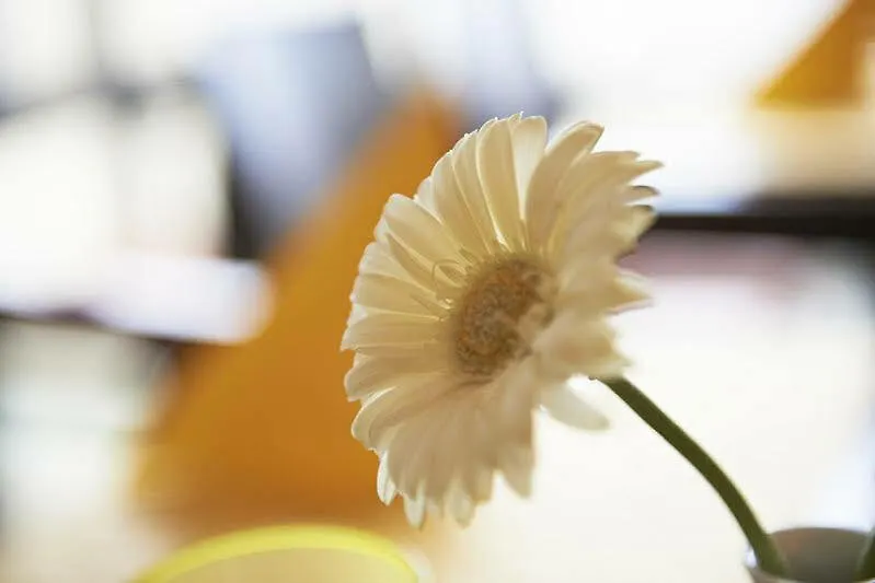 Ghotel Hotel & Living Muenchen-City